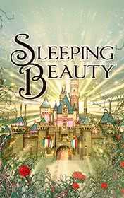Sleeping Beauty by Charles Perrault book cover