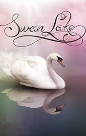 Swan Lake by Jenny Dooley book cover