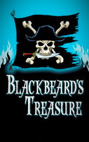Blackbeard's Treasure by Jenny Dooley book cover