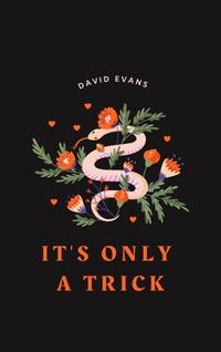 It's Only a Trick by David Evans