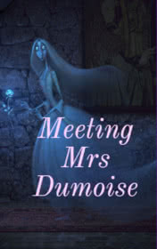 Meeting Mrs Dumoise by Bill Bowler book cover