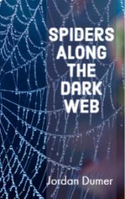Spiders Along the Dark Web by Jordan Dumer book cover