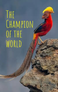 The Champion of the World by Roald Dahl book cover