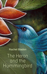The Heron and the Hummingbird by Rachel Bladon