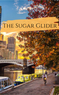 The Sugar Glider by Neilsen